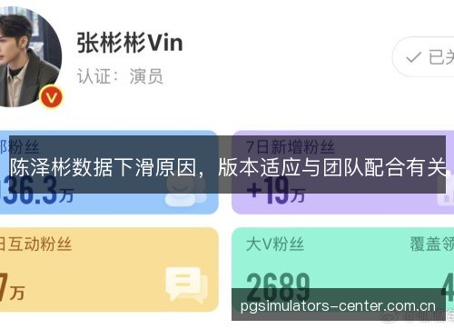 陈泽彬数据下滑原因，版本适应与团队配合有关
